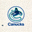 Vancouver Canucks small logo